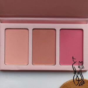 پالت رژ گونه پودری شیگلم مدل سویت چیکس (sweet cheeks) – SHEGLAM
