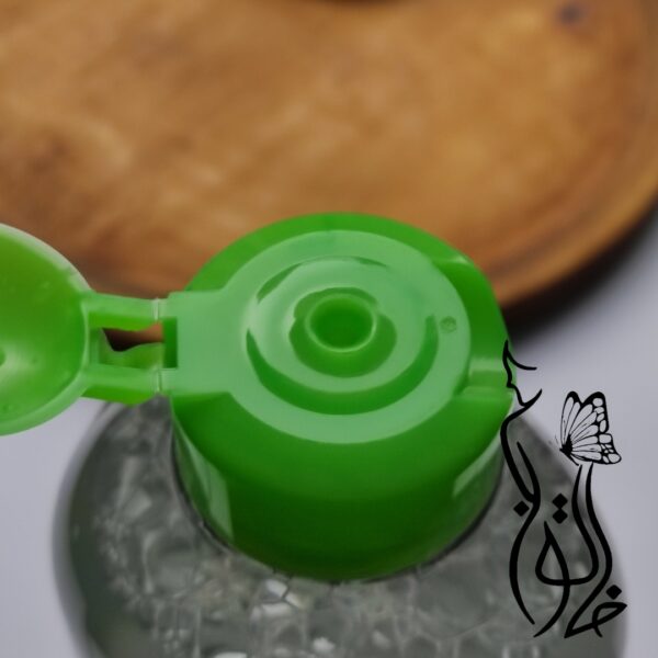 میسلارواتر گارنیر پوست چرب و مختلط - GARNIER - Image 3