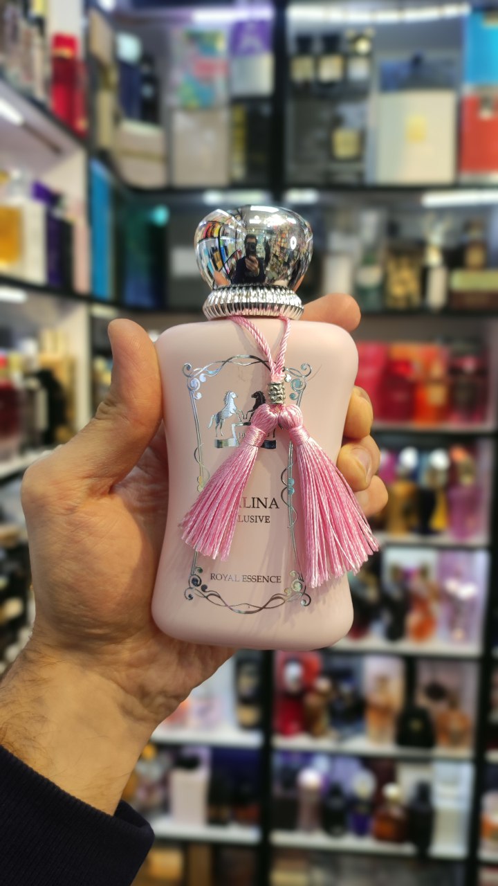 IMG_20241211_102313_084.jpg عطر مارلی دلینا  اکسلوسیف فرگرانس ورلد (شلینا اکسکلوسیف) | Fragrance World Shelina Exclusive - Image 2