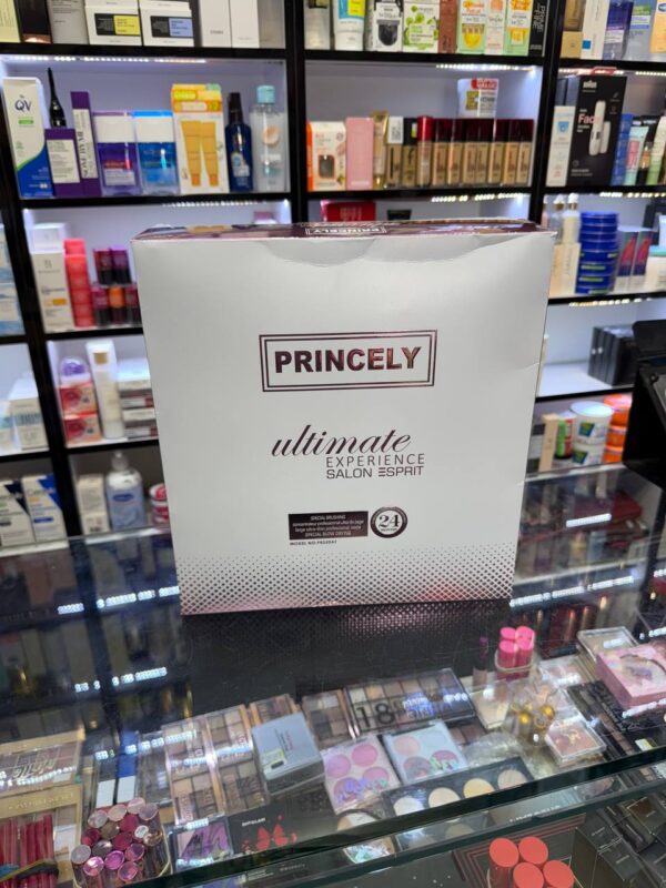 سشوار پرنسلی مدل سالن اسپریت - PRINCELY - Image 3