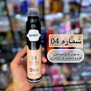 اسپری لباس بد بوی مردانه 04 لیتزی – LITZY