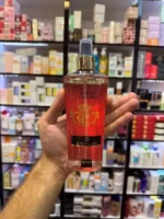 بادی اسپلش کریستین تاون وودلایک | WOODLIKE Christian Town - Image 2